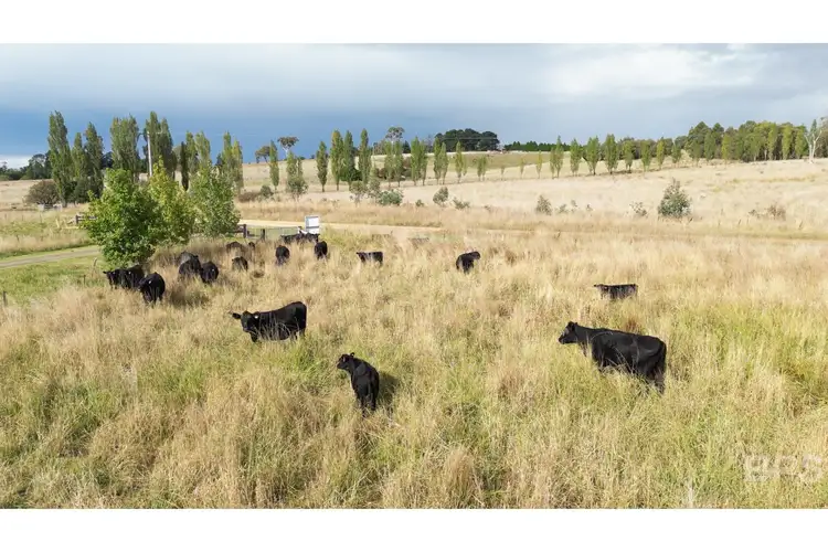 Fifth view of Homely rural property listing, 319 Heathersleigh Road, Armidale NSW 2350