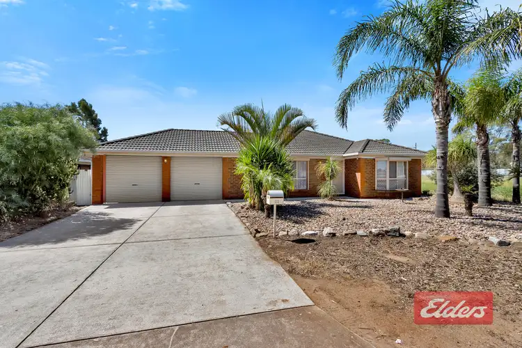 53 Clark Road, Evanston Gardens SA 5116