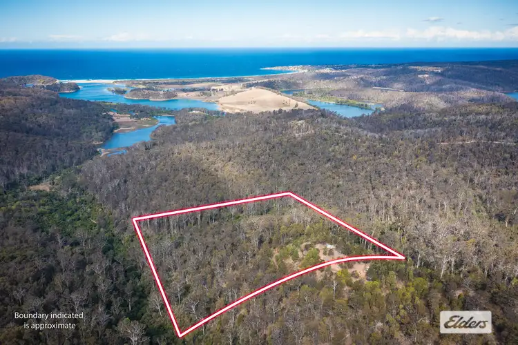 Main view of Homely land listing, 866 Reedy Swamp Road, Chinnock NSW 2550