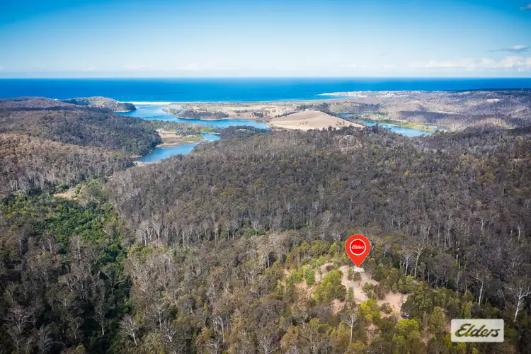 Second view of Homely land listing, 866 Reedy Swamp Road, Chinnock NSW 2550