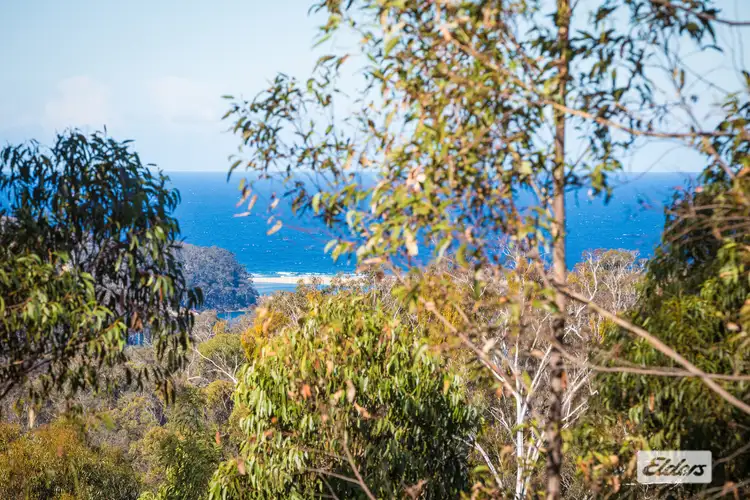 Third view of Homely land listing, 866 Reedy Swamp Road, Chinnock NSW 2550