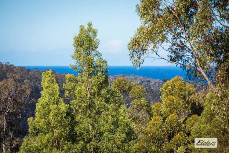 Fourth view of Homely land listing, 866 Reedy Swamp Road, Chinnock NSW 2550