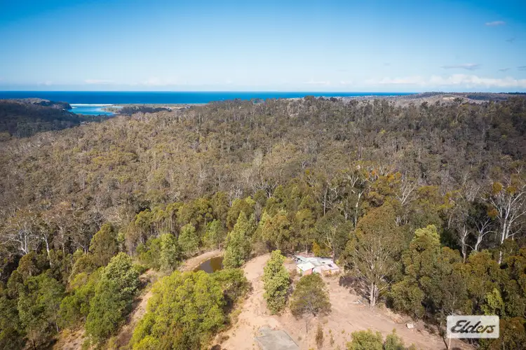 Fifth view of Homely land listing, 866 Reedy Swamp Road, Chinnock NSW 2550