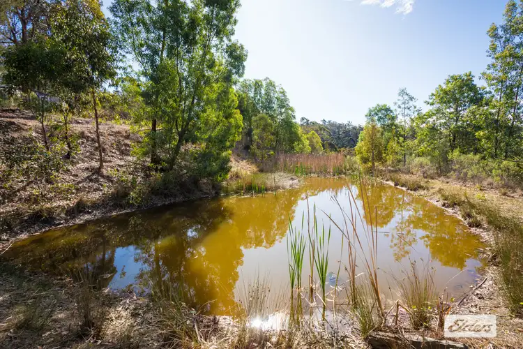 Sixth view of Homely land listing, 866 Reedy Swamp Road, Chinnock NSW 2550