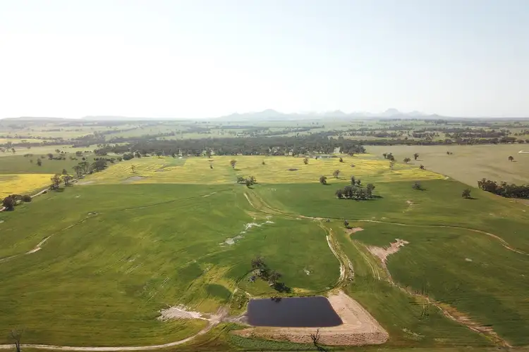 Third view of Homely rural property listing, 980 Townsend Road, Cranbrook WA 6321