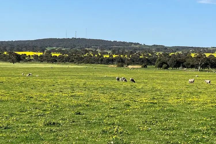 Fourth view of Homely rural property listing, 980 Townsend Road, Cranbrook WA 6321