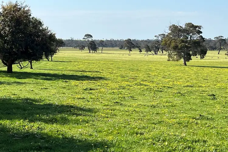 Fifth view of Homely rural property listing, 980 Townsend Road, Cranbrook WA 6321