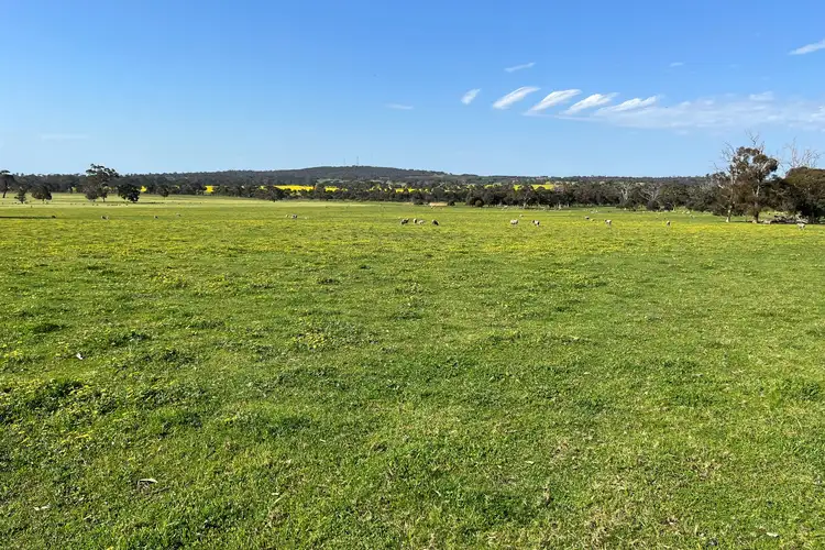 Sixth view of Homely rural property listing, 980 Townsend Road, Cranbrook WA 6321