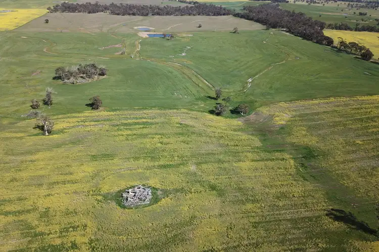 Seventh view of Homely rural property listing, 980 Townsend Road, Cranbrook WA 6321
