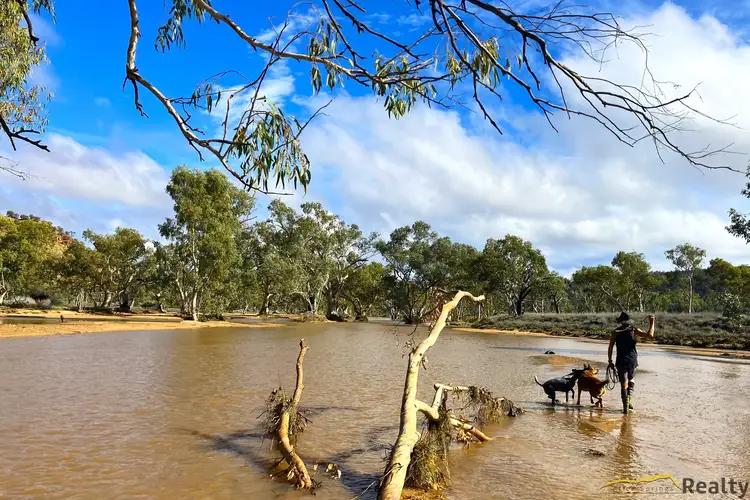 Main view of Homely house listing, 196 Ross Highway, Ross NT 873