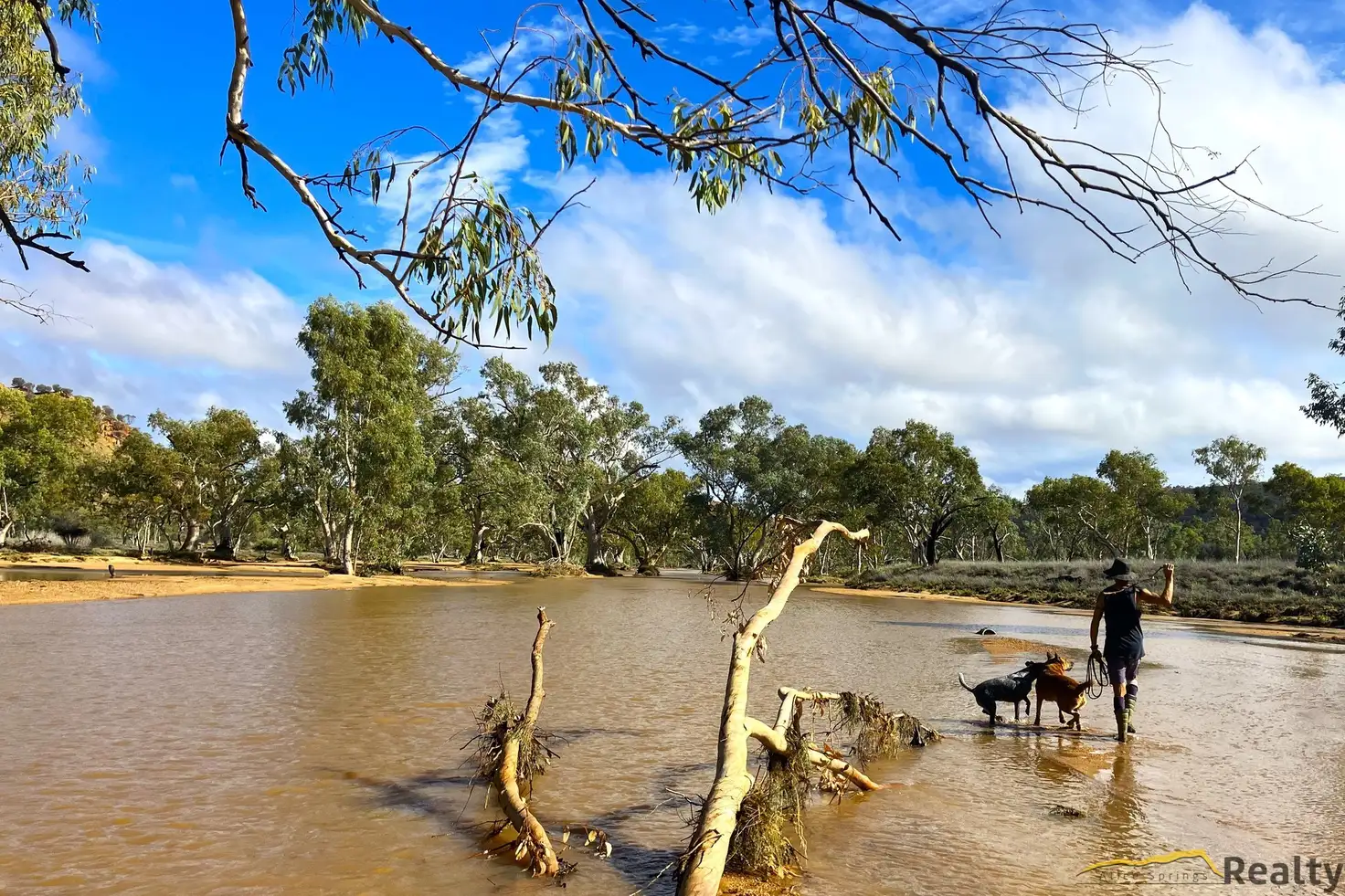 Main view of Homely house listing, 196 Ross Highway, Ross NT 873