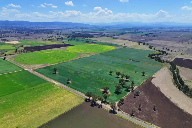 Main view of Homely rural property listing, 226 Dartbrook Road, Aberdeen NSW 2336