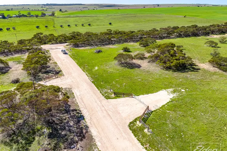 Third view of Homely rural property listing, 629 Westbrook Road, Tailem Bend SA 5260