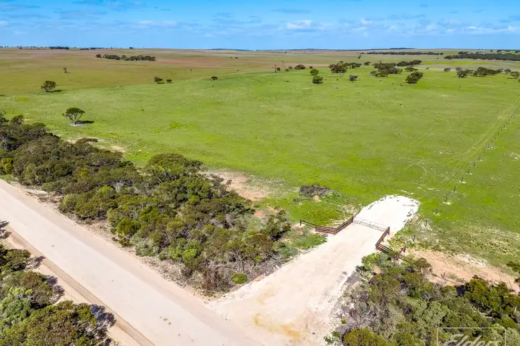 Sixth view of Homely rural property listing, 629 Westbrook Road, Tailem Bend SA 5260