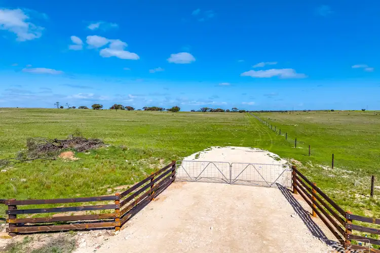 Seventh view of Homely rural property listing, 629 Westbrook Road, Tailem Bend SA 5260