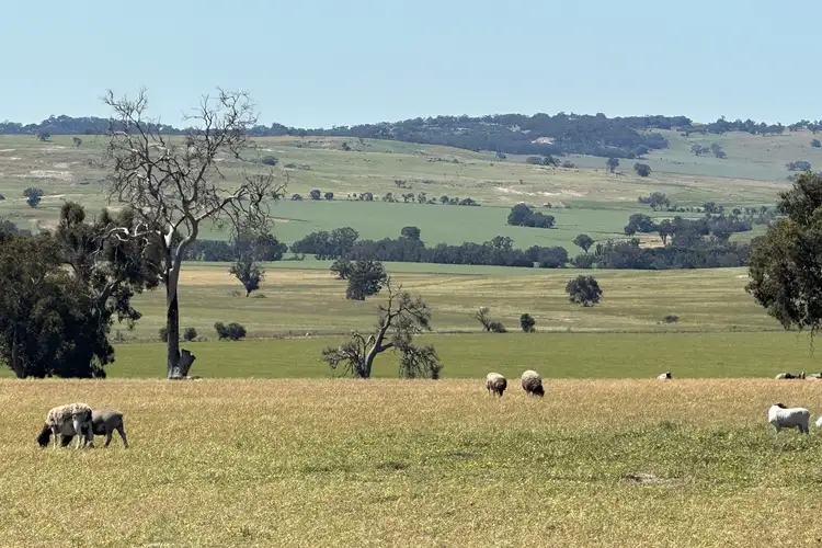 Second view of Homely rural property listing, Kokendin Road, Beverley WA 6304