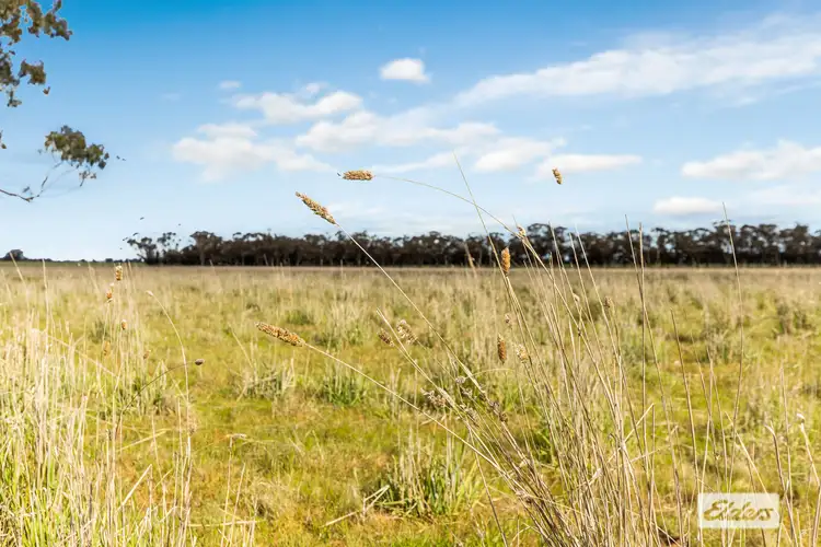 Sixth view of Homely rural property listing, Rasmussens Road, Goornong VIC 3557