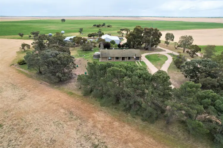 Second view of Homely rural property listing, 10671 Mallee Highway, Lameroo SA 5302