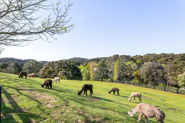 Seventh view of Homely rural property listing, 289 Rangeview Drive, Mount George SA 5155