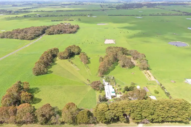 Fifth view of Homely rural property listing, 105 Cosgriffs Road, Outtrim VIC 3951