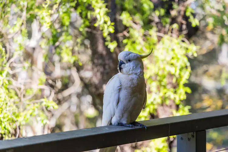 Fifth view of Homely house listing, 20 Silver Road, Bridgewater SA 5155