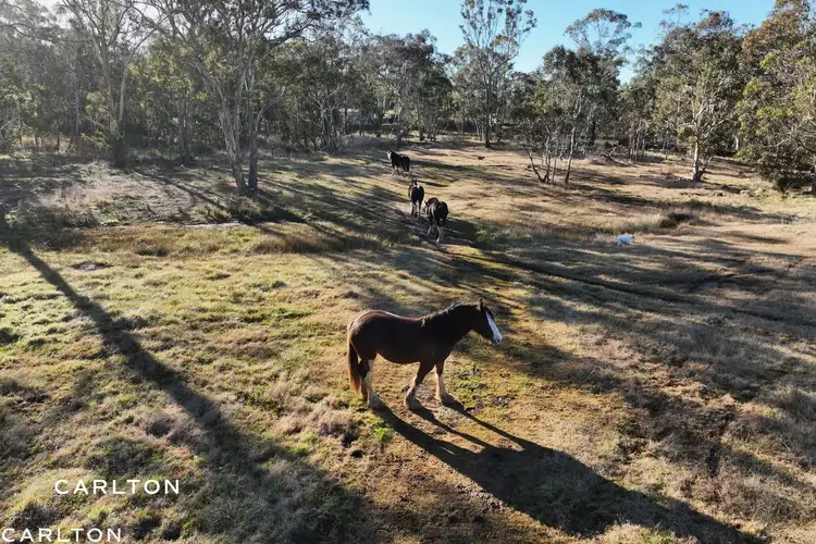 Second view of Homely rural property listing, 92 Old Tallong Road, Marulan NSW 2579