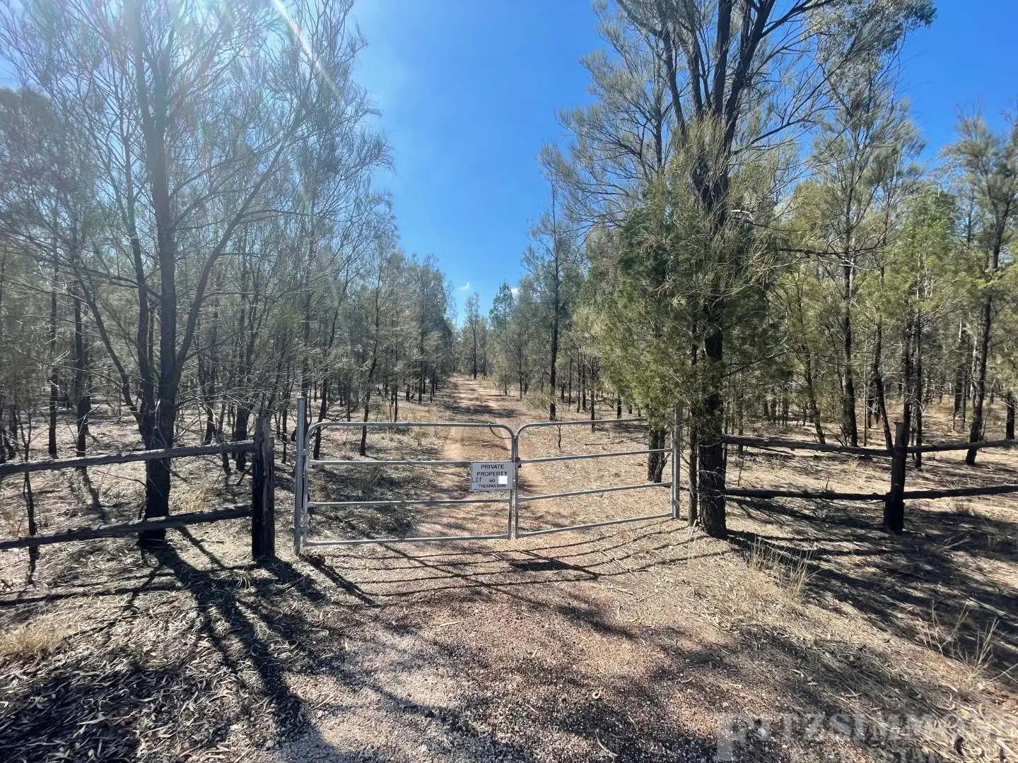 Main view of Homely rural property listing, Lot 17 Cypress Road, Kumbarilla QLD 4405