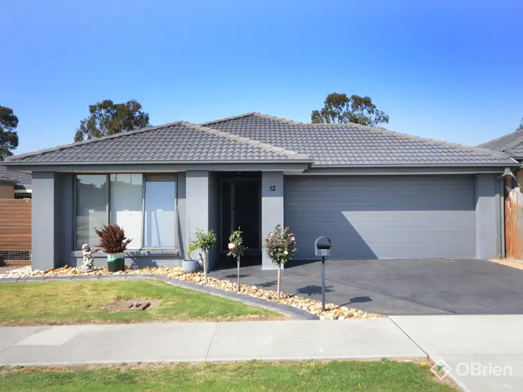 12 Lowe Court, Eastwood VIC 3875
