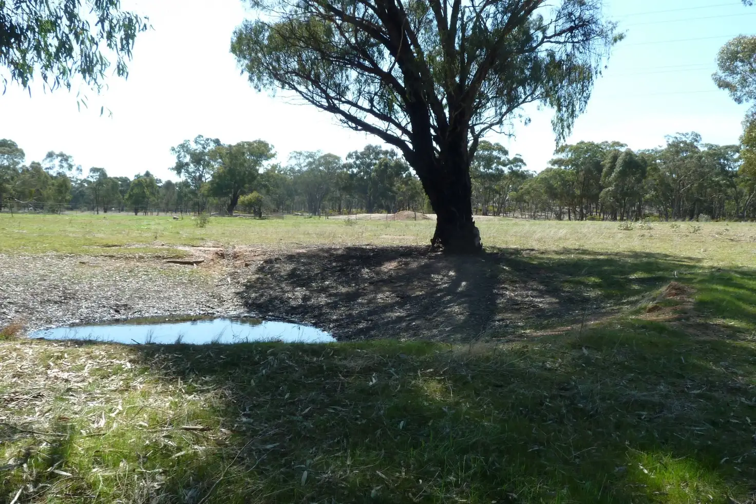 Main view of Homely rural property listing, CA 8 Bobsiens Hill Road, Wedderburn VIC 3518