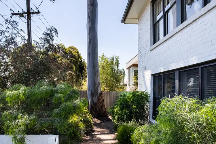 Main view of Homely apartment listing, 1/25 Illawarra Road, Hawthorn VIC 3122