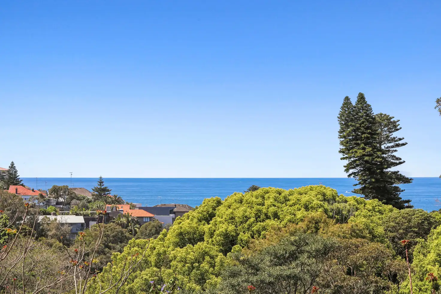 Main view of Homely apartment listing, 6/47 Murray Street, Bronte NSW 2024