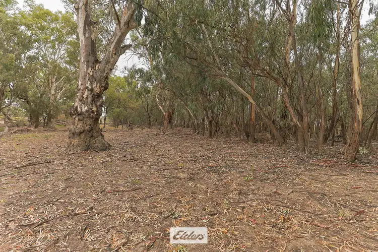 Fifth view of Homely rural property listing, Lot 9 Cudmore Road, Wentworth NSW 2648