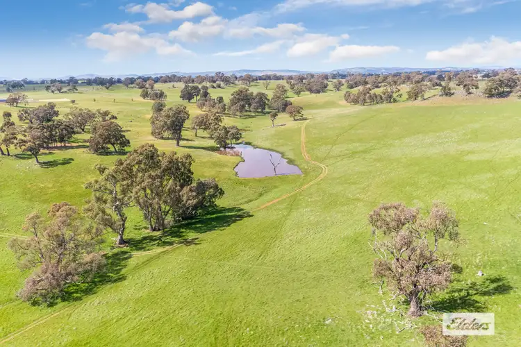 Second view of Homely rural property listing, Heathcote-Redesdale Road, Mia Mia VIC 3444