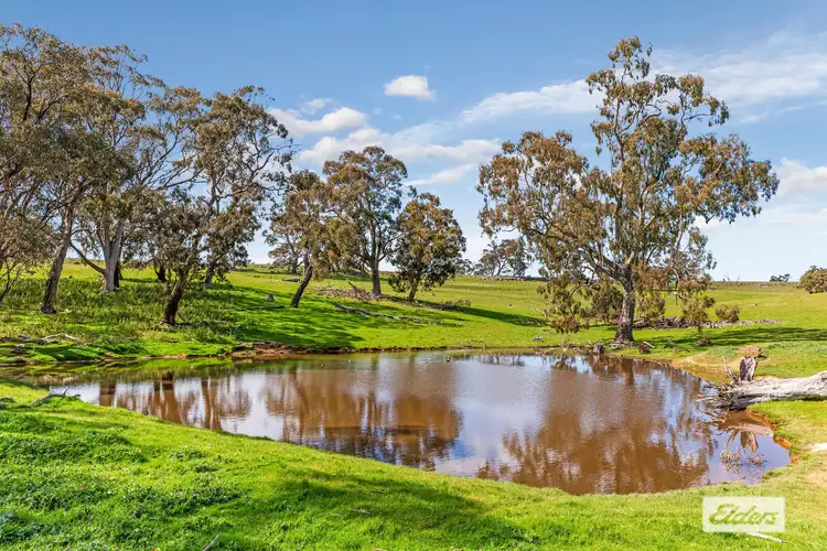 Sixth view of Homely rural property listing, Heathcote-Redesdale Road, Mia Mia VIC 3444
