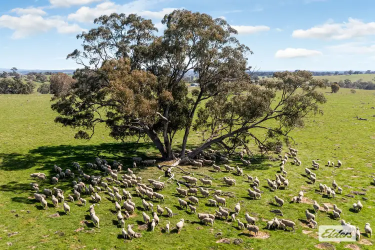 Seventh view of Homely rural property listing, Heathcote-Redesdale Road, Mia Mia VIC 3444