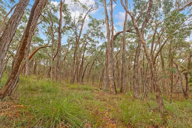 Seventh view of Homely land listing, 11E Greenwoods Lane, Newtown VIC 3351