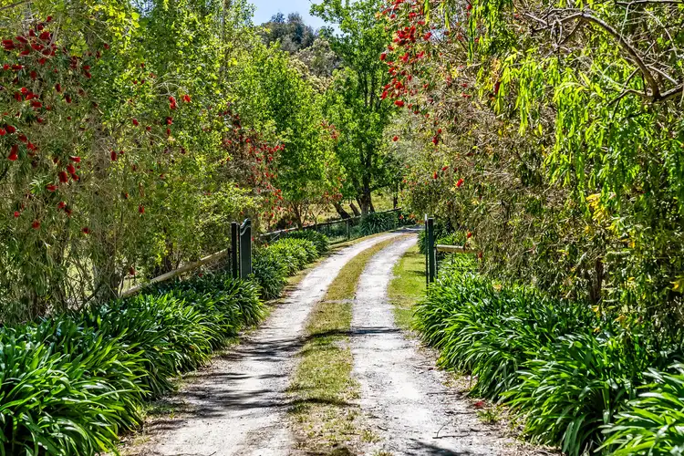 Fifth view of Homely rural property listing, 123 Sheoak Road, Mylor SA 5153