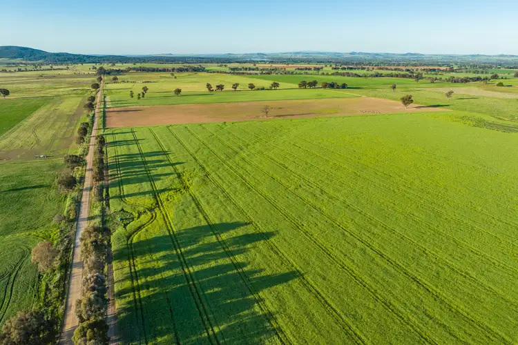 Tallarook Road, Cowra NSW 2794