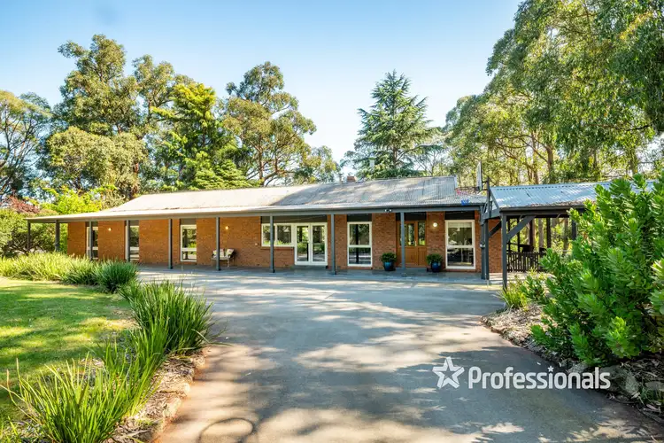 Main view of Homely house listing, 10 Falls Road, Hoddles Creek VIC 3139
