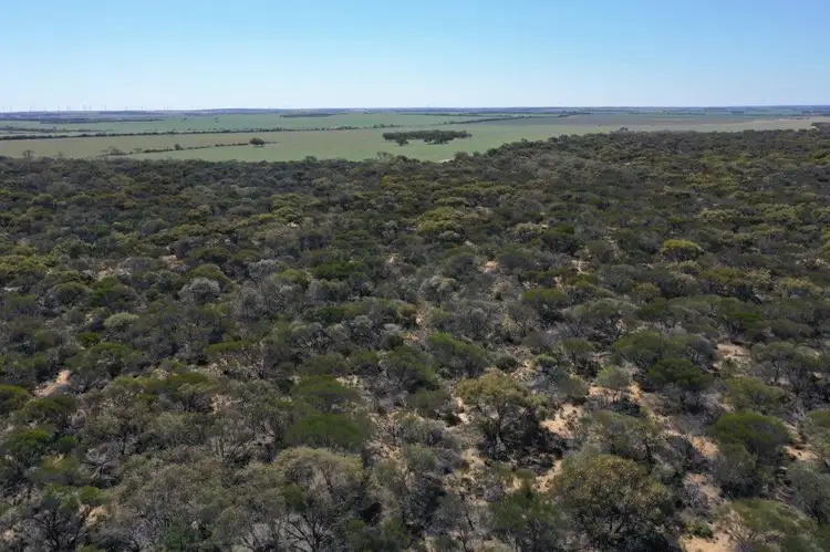 Lot 25253 Ellery Road, South Burracoppin WA 6421