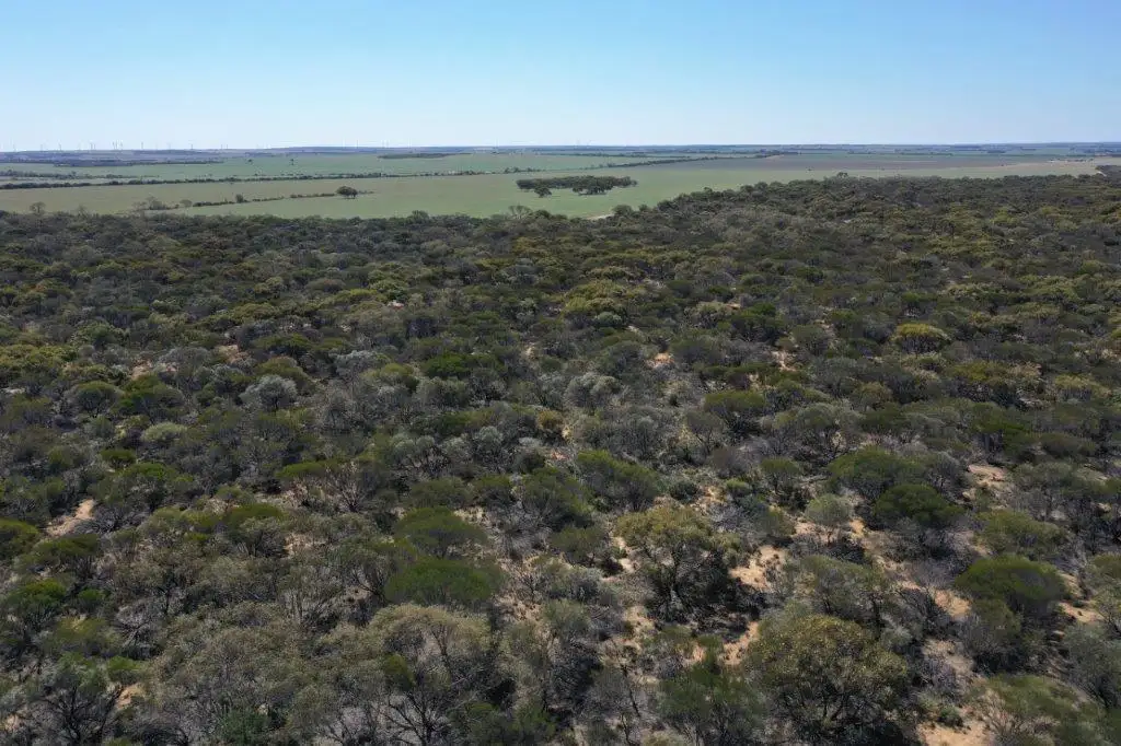 Main view of Homely rural property listing, Lot 25253 Ellery Road, South Burracoppin WA 6421