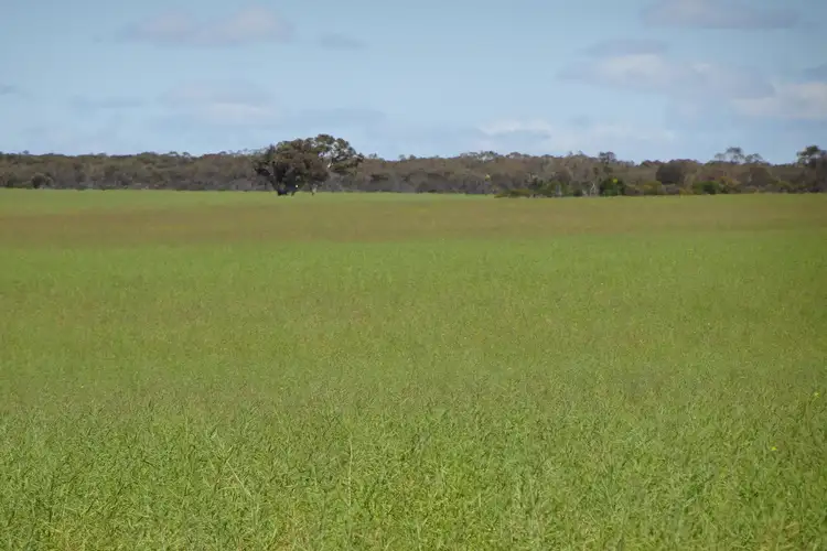 Second view of Homely rural property listing, Lot 25253 Ellery Road, South Burracoppin WA 6421
