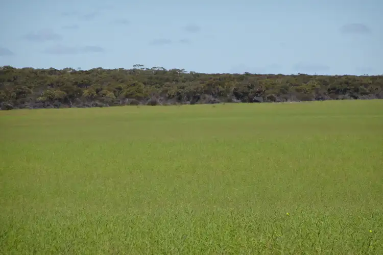 Fifth view of Homely rural property listing, Lot 25253 Ellery Road, South Burracoppin WA 6421