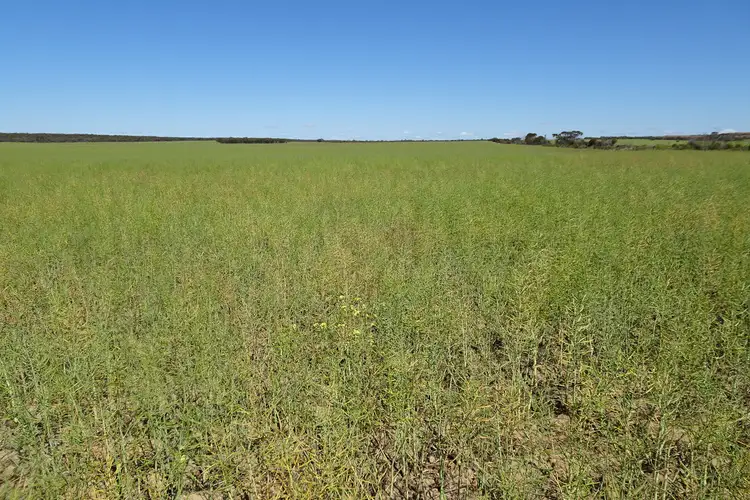 Sixth view of Homely rural property listing, Lot 25253 Ellery Road, South Burracoppin WA 6421
