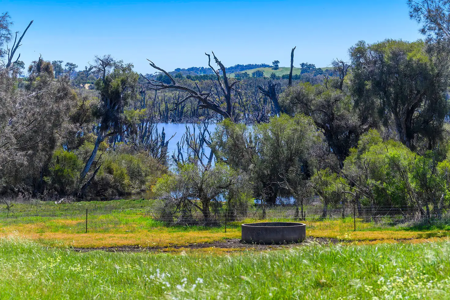 Main view of Homely rural property listing, 5885 Great Northern Highway, Bindoon WA 6502
