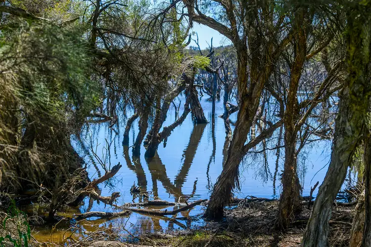 Third view of Homely rural property listing, 5885 Great Northern Highway, Bindoon WA 6502