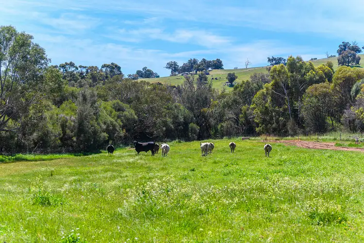 Fourth view of Homely rural property listing, 5885 Great Northern Highway, Bindoon WA 6502