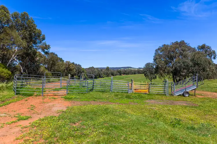Seventh view of Homely rural property listing, 5885 Great Northern Highway, Bindoon WA 6502