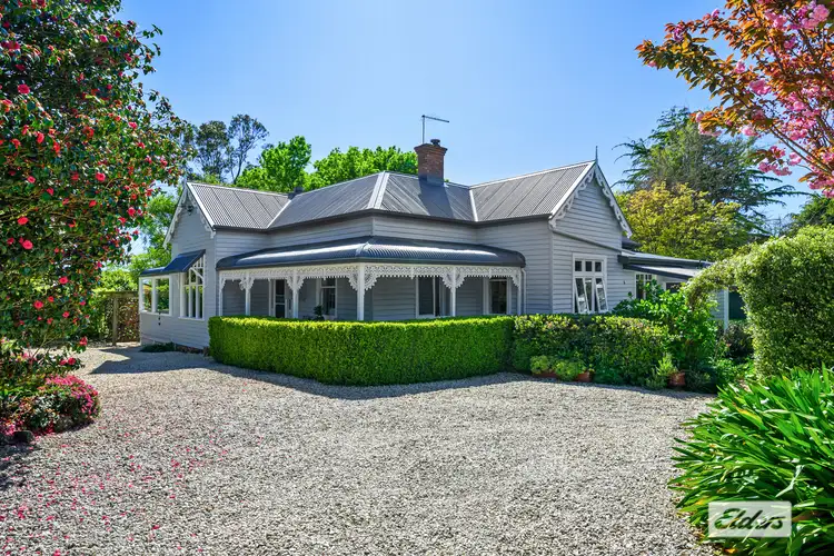 Second view of Homely rural property listing, 219 West Pine Road, Penguin TAS 7316