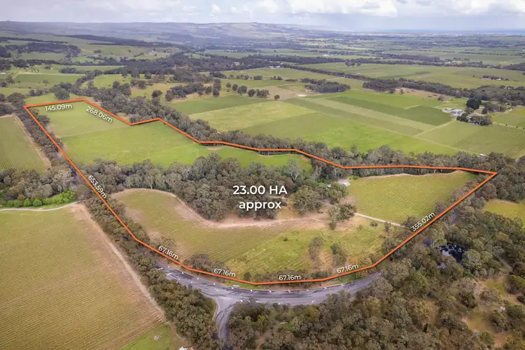 Third view of Homely rural property listing, 382 McMurtrie Road, Mclaren Vale SA 5171